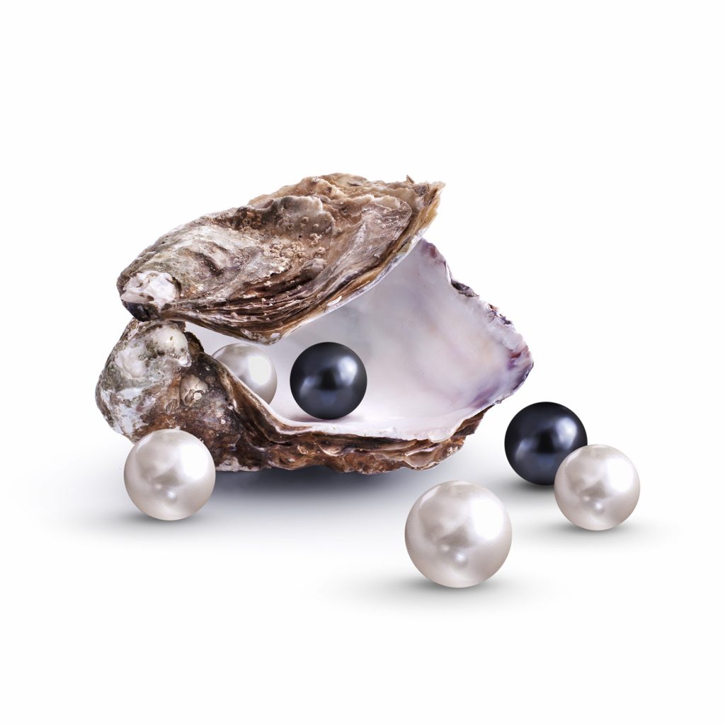 Shell with pearls